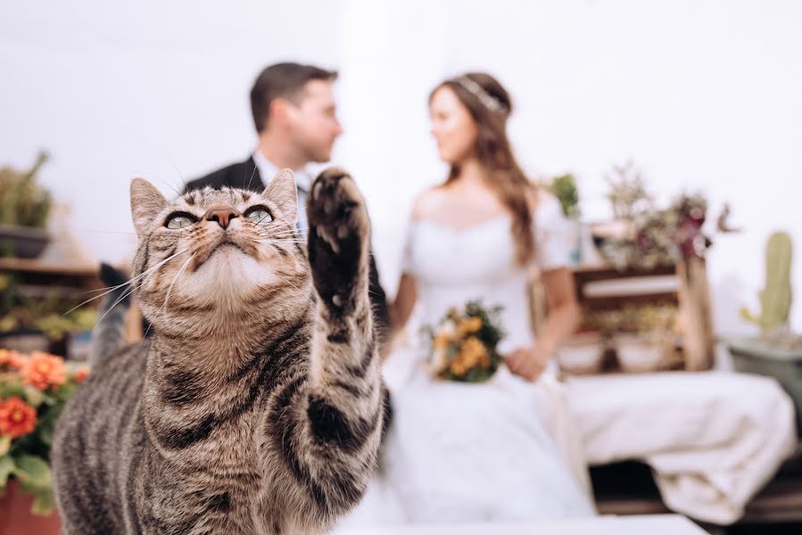 Fotógrafo de casamento David Arbus (davidarbus). Foto de 5 de julho 2019