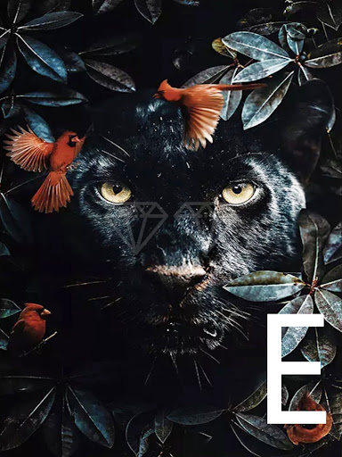 miniatures image - 12