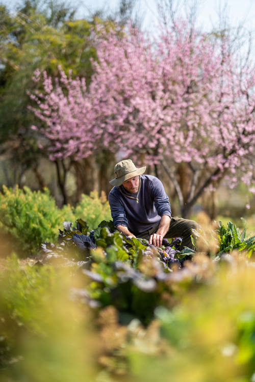 Guests can join Paul Boyter for mindful harvests. Picture: SUPPLIED