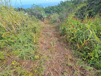 terrain à Saint gilles les hauts (974)