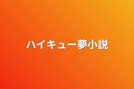 ハイキュー夢小説