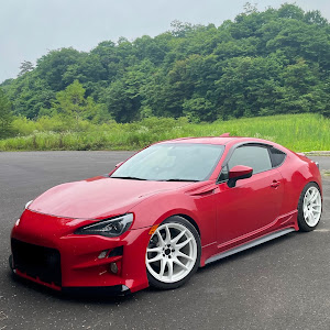 86 ZN6