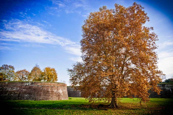 Il guardiano degli antichi spalti di bondell