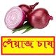 Download সঠিকভাবে পেঁয়াজ চাষ পদ্ধতি ~ Onion Cultivation For PC Windows and Mac 1.0