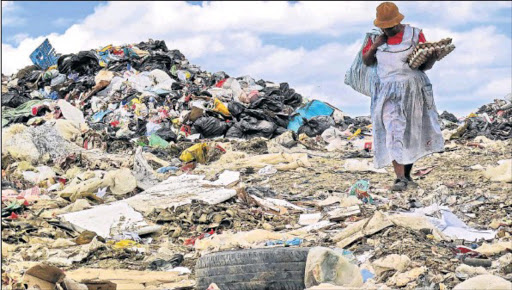 THE BERLIN DUMP: Here, a woman leaves after finding a few trays of eggs but will BCM officials end up with egg on their faces?