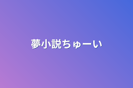 夢小説ちゅーい