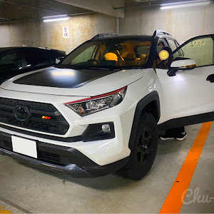 RAV4 MXAA54