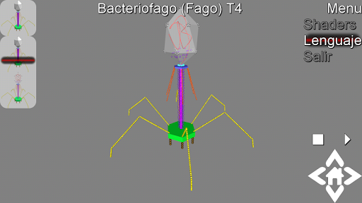 3D Bacteriophage T4 Explorer