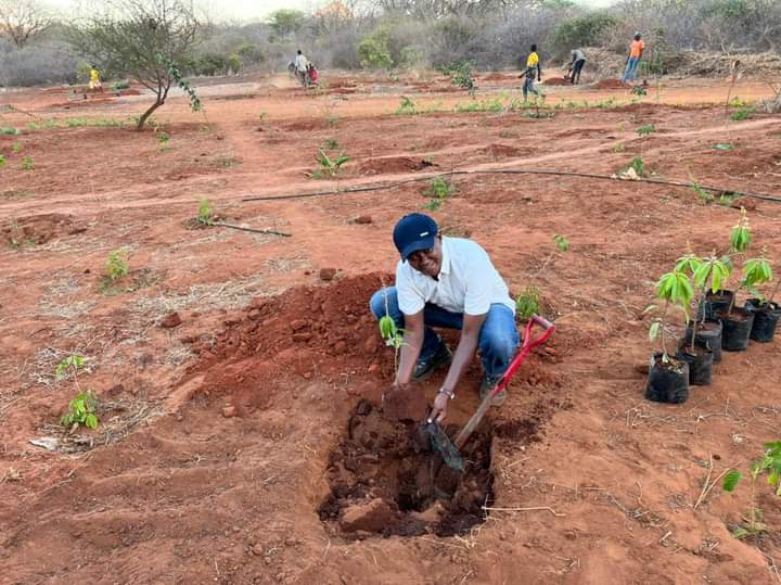 Foreign Affairs CS Alfred Mutua at his ranch on Sunday as he planted 52 trees to signify his age..