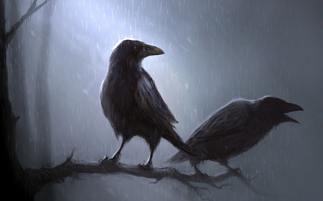 Crow Wallpaper