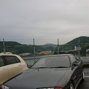スカイライン