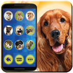 Cover Image of Download Translator for dogs (joke) 3.0 APK