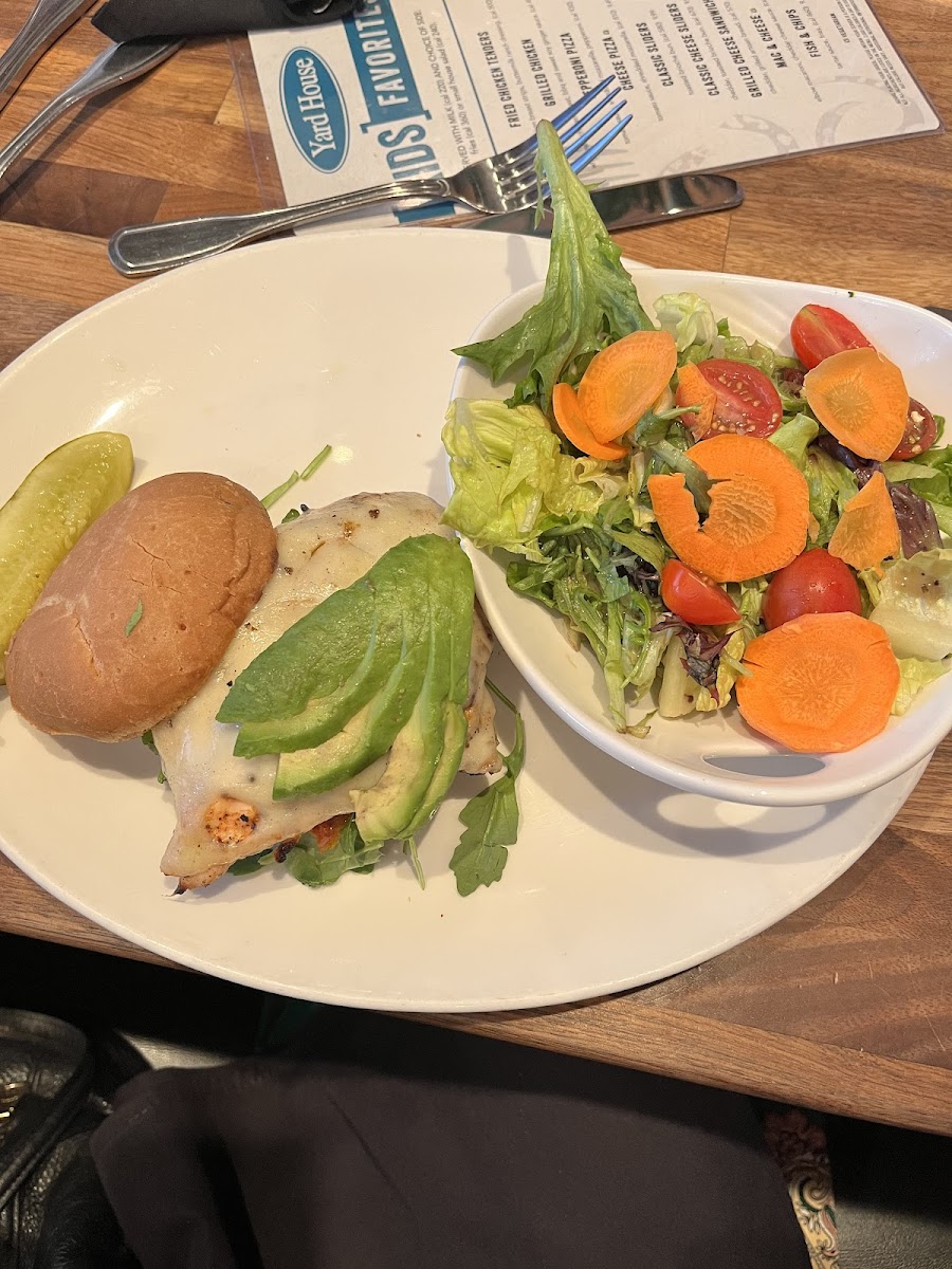 Chicken Avocado sandwich with gf bun and side salad