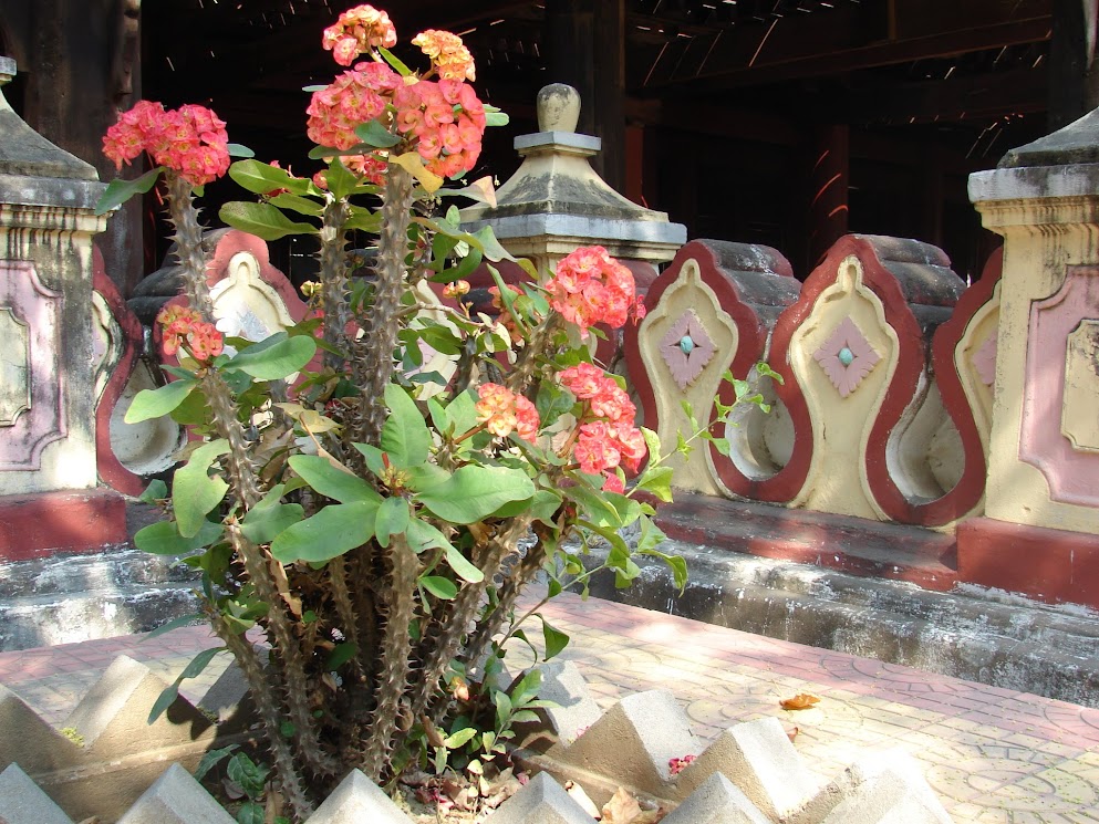 Shwe In Bin Monastery - mandalay