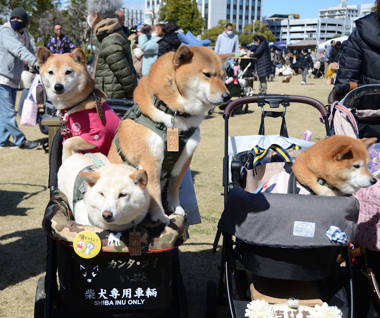 の投稿画像7枚目