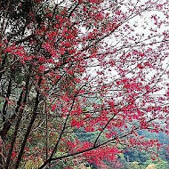 穠舍田園咖啡 餐廳 休閒農場