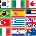 The flags of the world icon