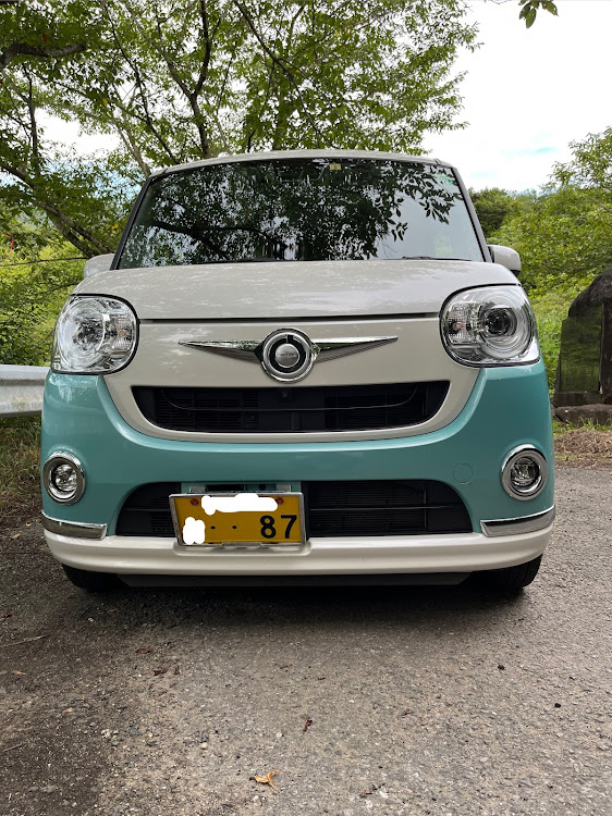 ムーヴキャンバスの美幸(みゆき)さんが投稿したカスタム事例の投稿画像3枚目