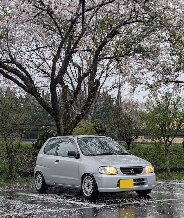 アルトのアルト・桜コラボ・桜と愛車に関するカスタム事例の投稿画像1枚目
