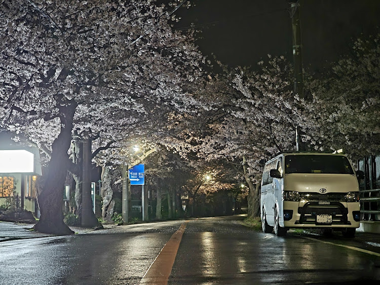 ハイエースバンの桜とコラボ🌸・桜とコラボ・フォロワーさんとコラボ・サクラと愛車・夜桜に関するカスタム事例の投稿画像5枚目