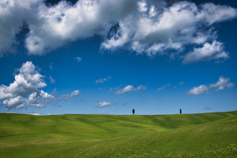 Cipressi in Val d'Orcia di Franz01