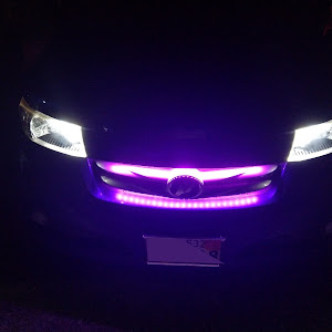 bB QNC20
