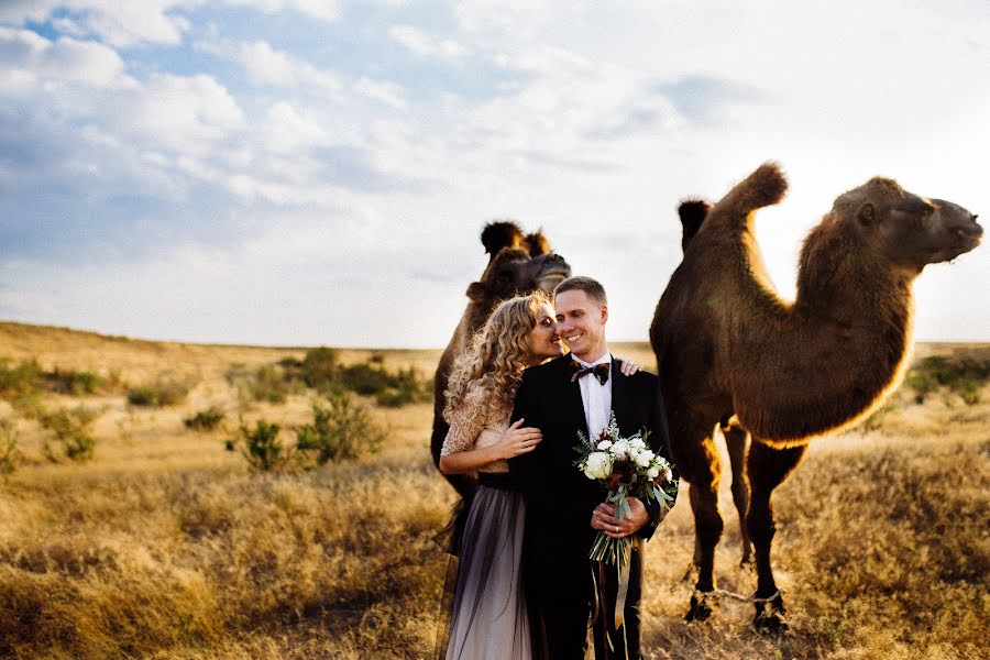 Fotografo di matrimoni Natalya Vasileva (pritchuda). Foto del 27 settembre 2016