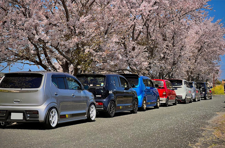 アルトワークスの桜・桜とコラボ🌸・ドライブ・ツーリングに関するカスタム事例の投稿画像17枚目