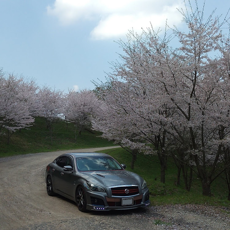 フーガの2020ベストショット・4月エントリー・桜🌸ショットに関するカスタム事例の投稿画像5枚目