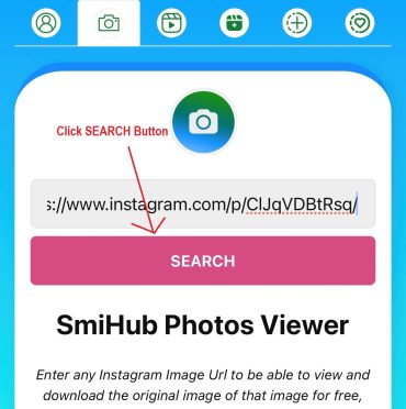 How To Use SmiHub Instagram Photo Viewer Tool For New User?-5