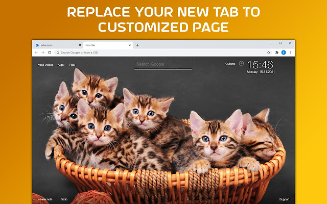 Cats & Kittens Images HD Custom Cute New Tab