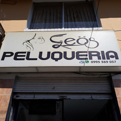 Comentarios y opiniones de Geo's Peluqueia