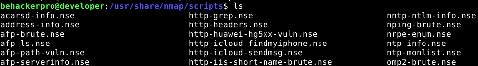 nmap-scripting-engine-ciberseguridad-behackerpro