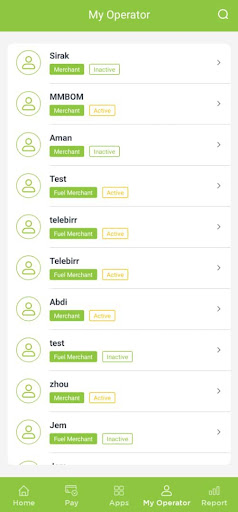 Screenshot telebirr partner