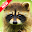 Animal Pictures Download on Windows