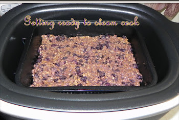 Ninja 3-in-1 Cooking System Steam Oven Review + Recipes