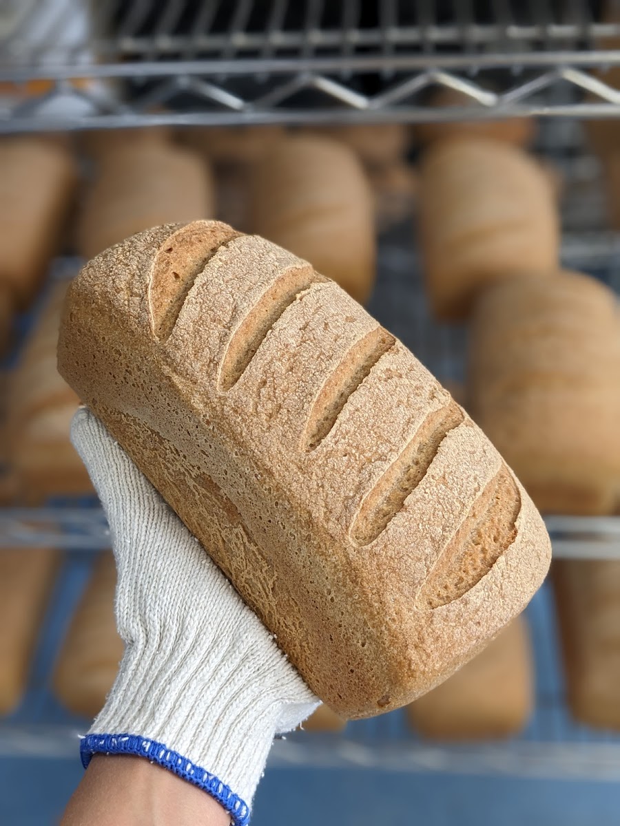 Sourdough: gluten-free and vegan