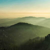 nella nebbia di 