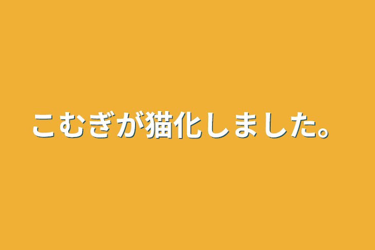 「こむぎが猫化しました。」のメインビジュアル