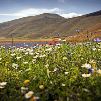 Castelluccio di Norcia di 