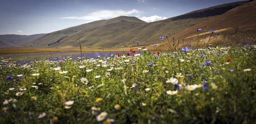 Castelluccio di Norcia di Skarlet