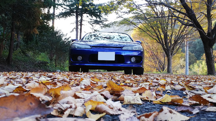 シルビアのドライブ・写真撮影・紅葉・秋に関するカスタム事例の投稿画像2枚目