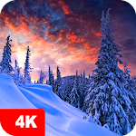 Cover Image of ดาวน์โหลด Winter Wallpapers 4K 5.0.6 APK