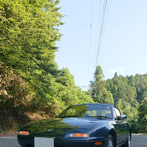 ロードスター NA8C