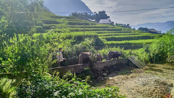 SAPA - CUADERNO DEL VIAJE A VIETNAM Y MALASIA (11)