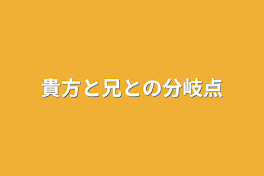 貴方と兄との分岐点