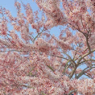 星巴克 花蓮洄瀾門市