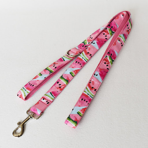 Title 3, Dog Collar and Pet Leash Pet Supplies Secure an...