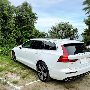 V60