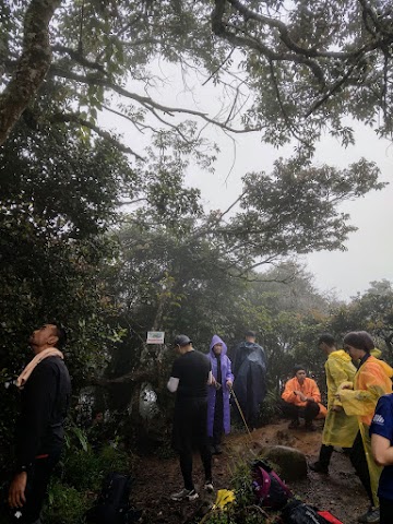 Mount Nuang Peak Raining